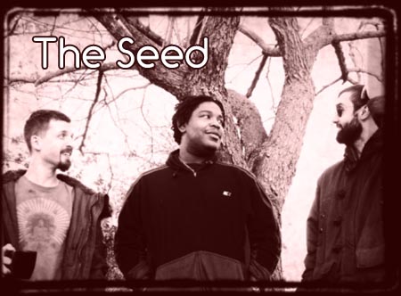 theseed